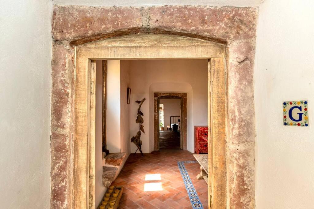 Amapola Loft Apartment San Miguel de Allende Ngoại thất bức ảnh